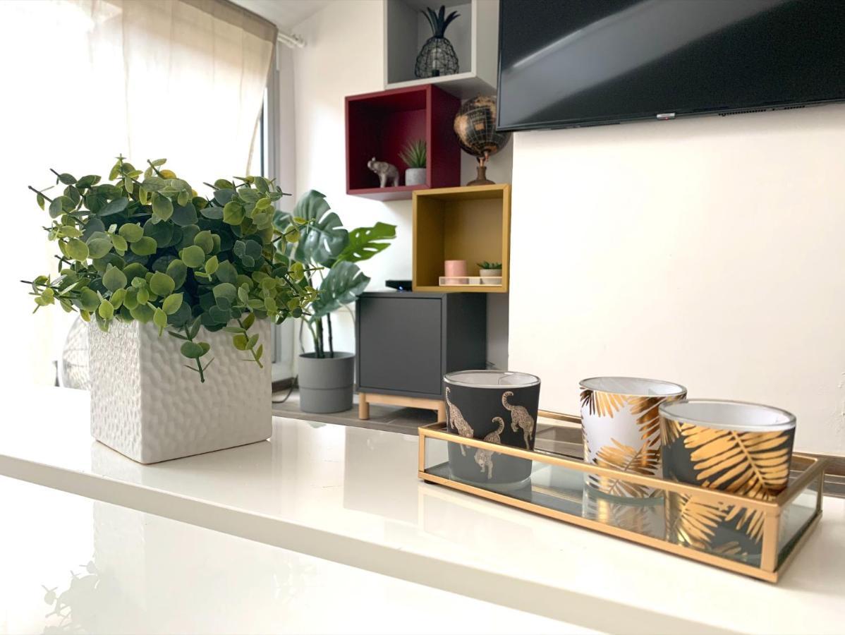 L'Accueillant - Appartement Avec Chambre Et Terrasse Toulouse Centre Eksteriør billede